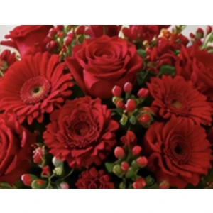 Verrassingsboeket Rood
