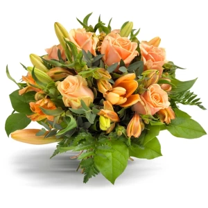 Bloeiende favoriet