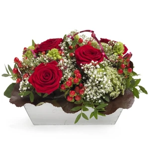 Rode rozen magie