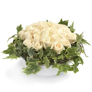 Witte rozengekte