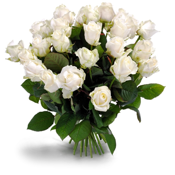 Clam Spin hoeveelheid verkoop Wonderschone witte rozen - Bloemist de Lange