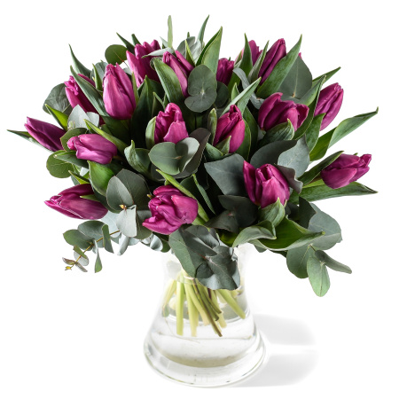 Boeket tulpen Candy Prince purper