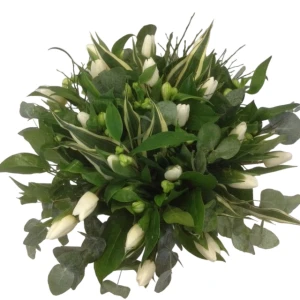 Boeket witte tulpen Voorhout