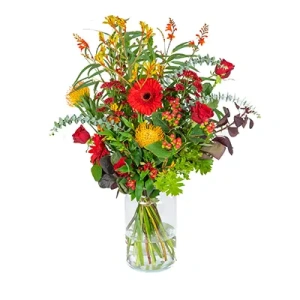 Plukboeket Jelle